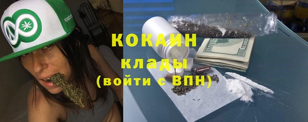 амф Козловка